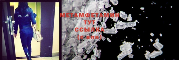 ПСИЛОЦИБИНОВЫЕ ГРИБЫ Заволжье