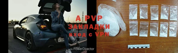 ПСИЛОЦИБИНОВЫЕ ГРИБЫ Заволжье