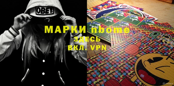 ПСИЛОЦИБИНОВЫЕ ГРИБЫ Заволжье