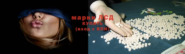PSILOCYBIN Заволжск
