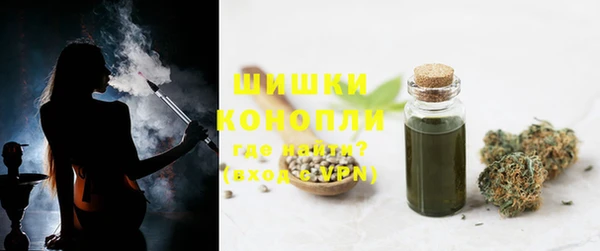 ПСИЛОЦИБИНОВЫЕ ГРИБЫ Заволжье