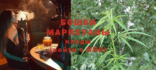 PSILOCYBIN Заволжск