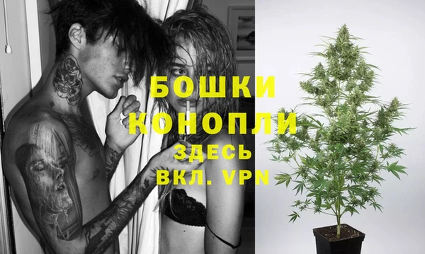 PSILOCYBIN Заволжск