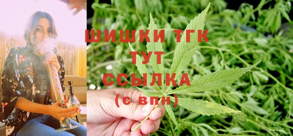 ПСИЛОЦИБИНОВЫЕ ГРИБЫ Заволжье