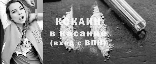 mdpv Заводоуковск