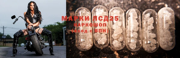 PSILOCYBIN Заволжск