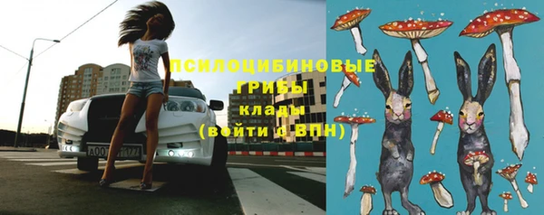 ПСИЛОЦИБИНОВЫЕ ГРИБЫ Заволжье